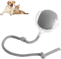 Interactive Toys Pet Rolling Ball Toys