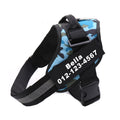 Dog Harness with Nametag Compact Design