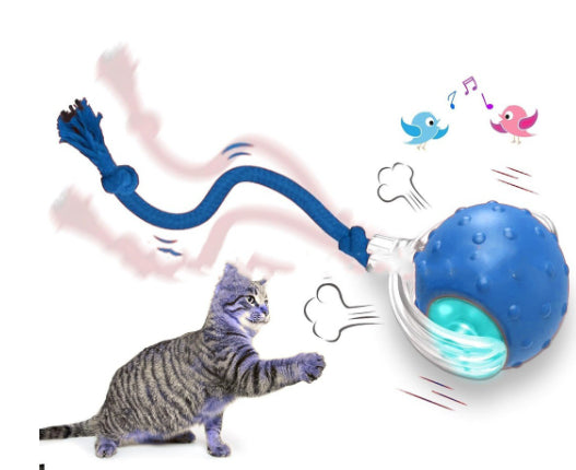 Interactive Cat Rolling Toy Ball