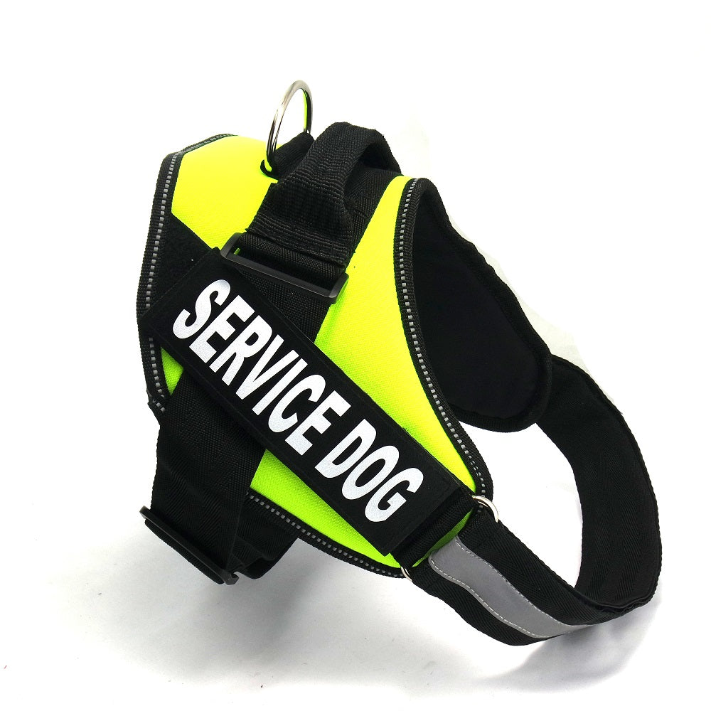Chest Strap Harness