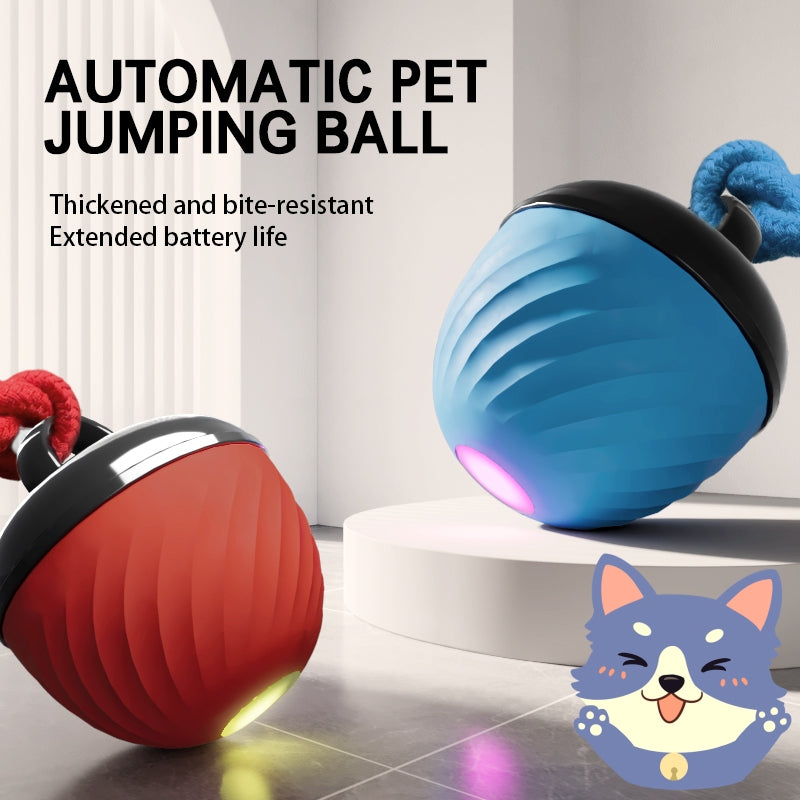 Interactive Moving Ball Pet Toy USB