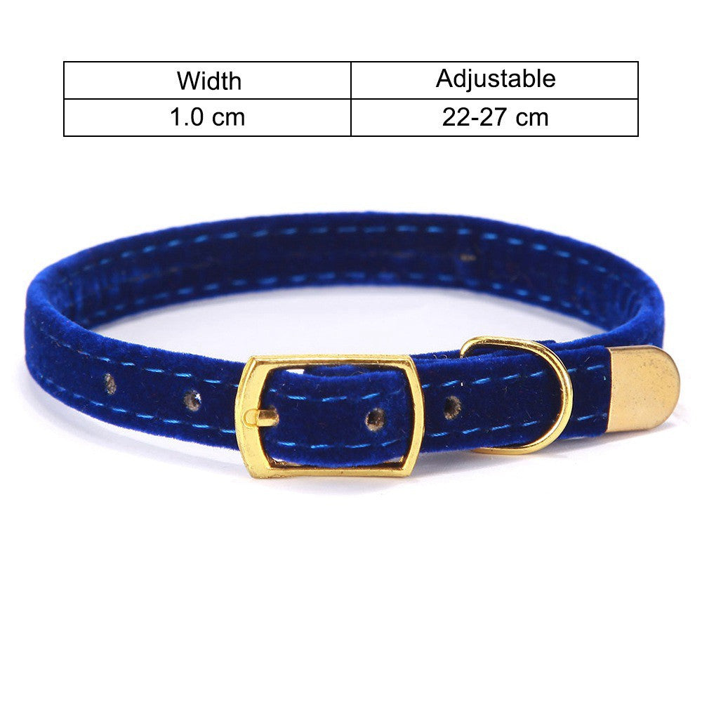 Colorful Cat Collar