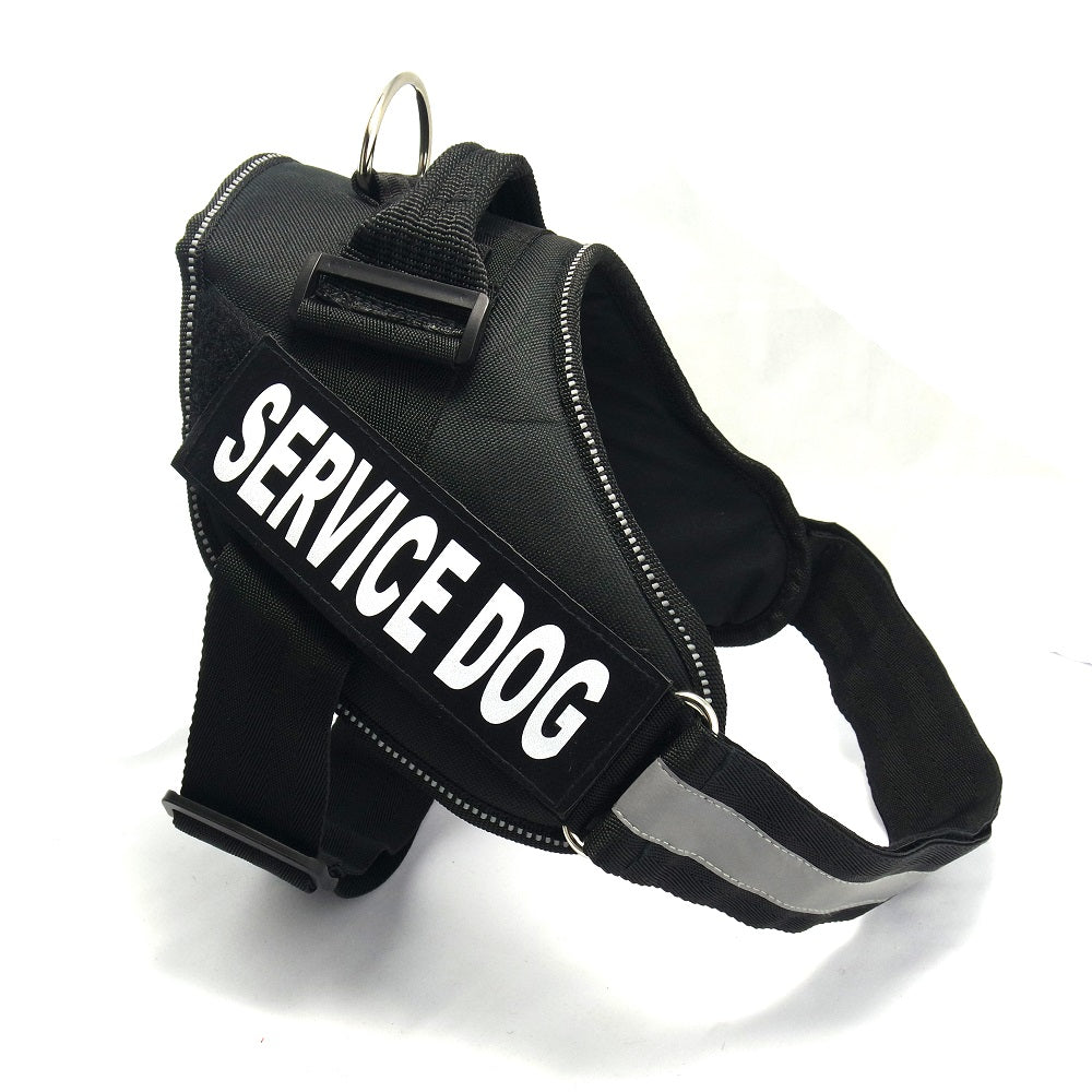Chest Strap Harness