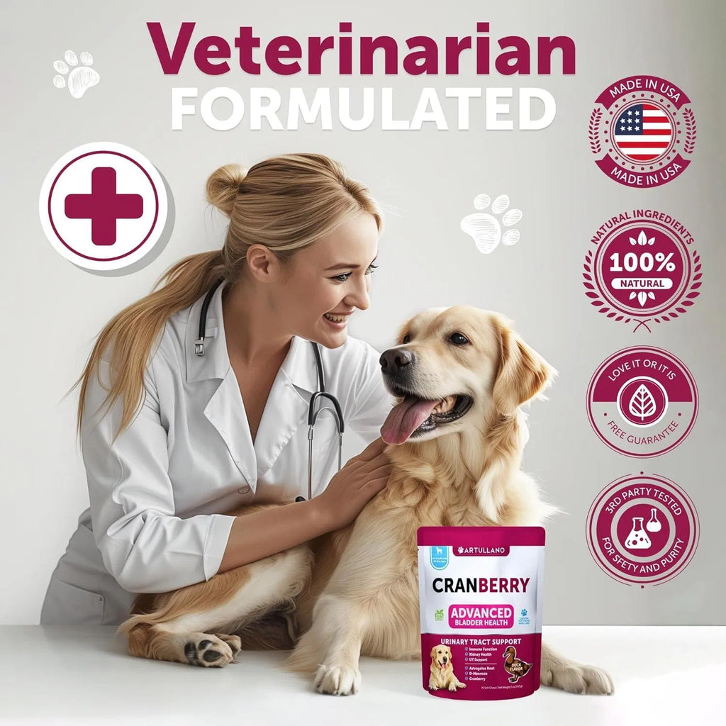 Dog UTI Treatment Cranberry Supplement