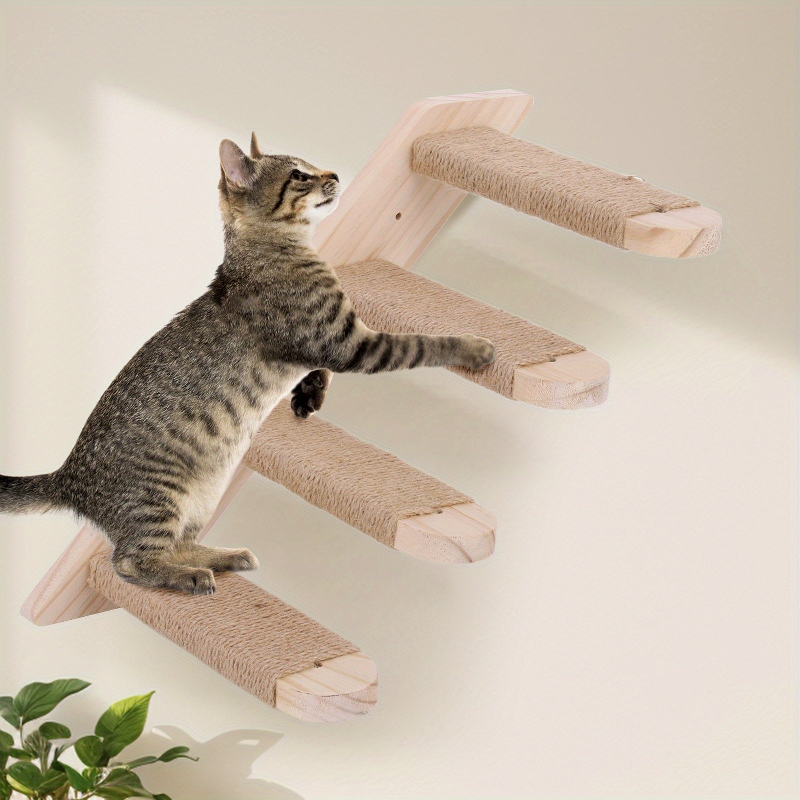 Cat Ladder Frame