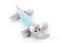 Dog Squeaky Chew Toys