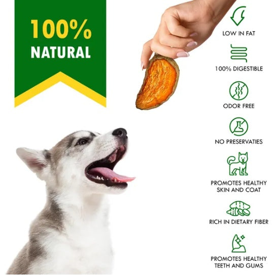 Sweet Potato Chips Treats for Dogs 10.6 Oz 300 G
