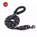 Luminous Nylon Rope Dog Leash