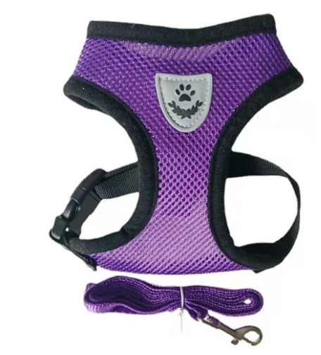 Fashionable High-end Multi-colour Dog Harness