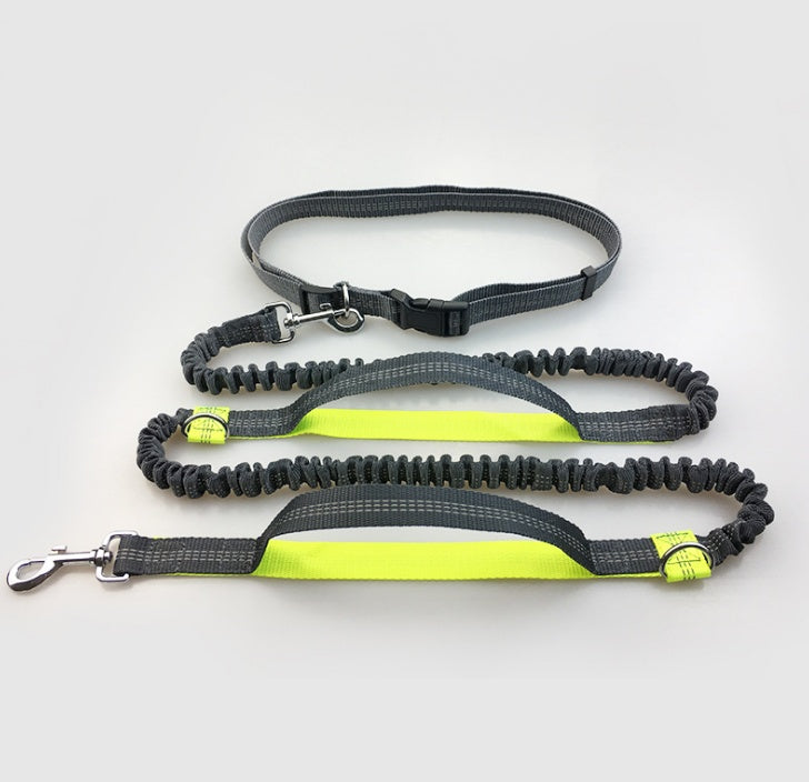 Double Elastic Handfree Dog Leash