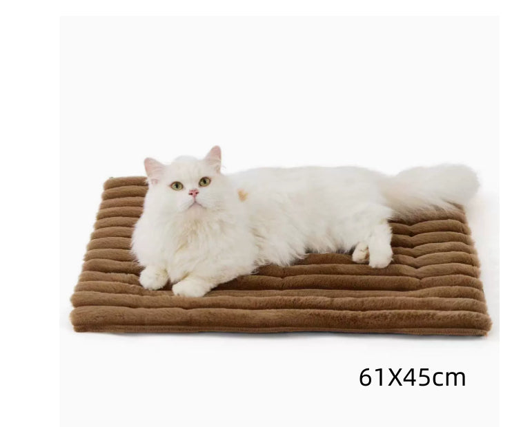 Warm Enclosed Cat House