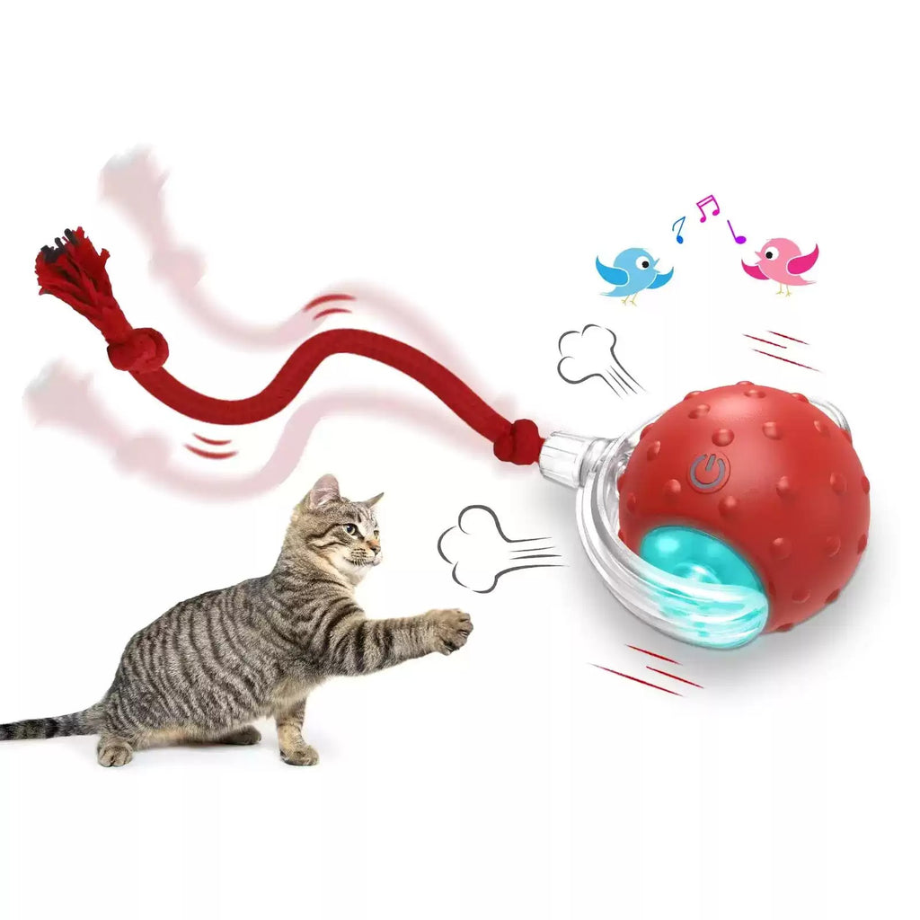 Interactive Cat Rolling Toy Ball