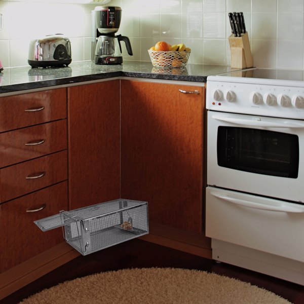 Mouse Trap, Galvanized Iron Mouse Control Bait Catcher, Prohibited Platform Amazon