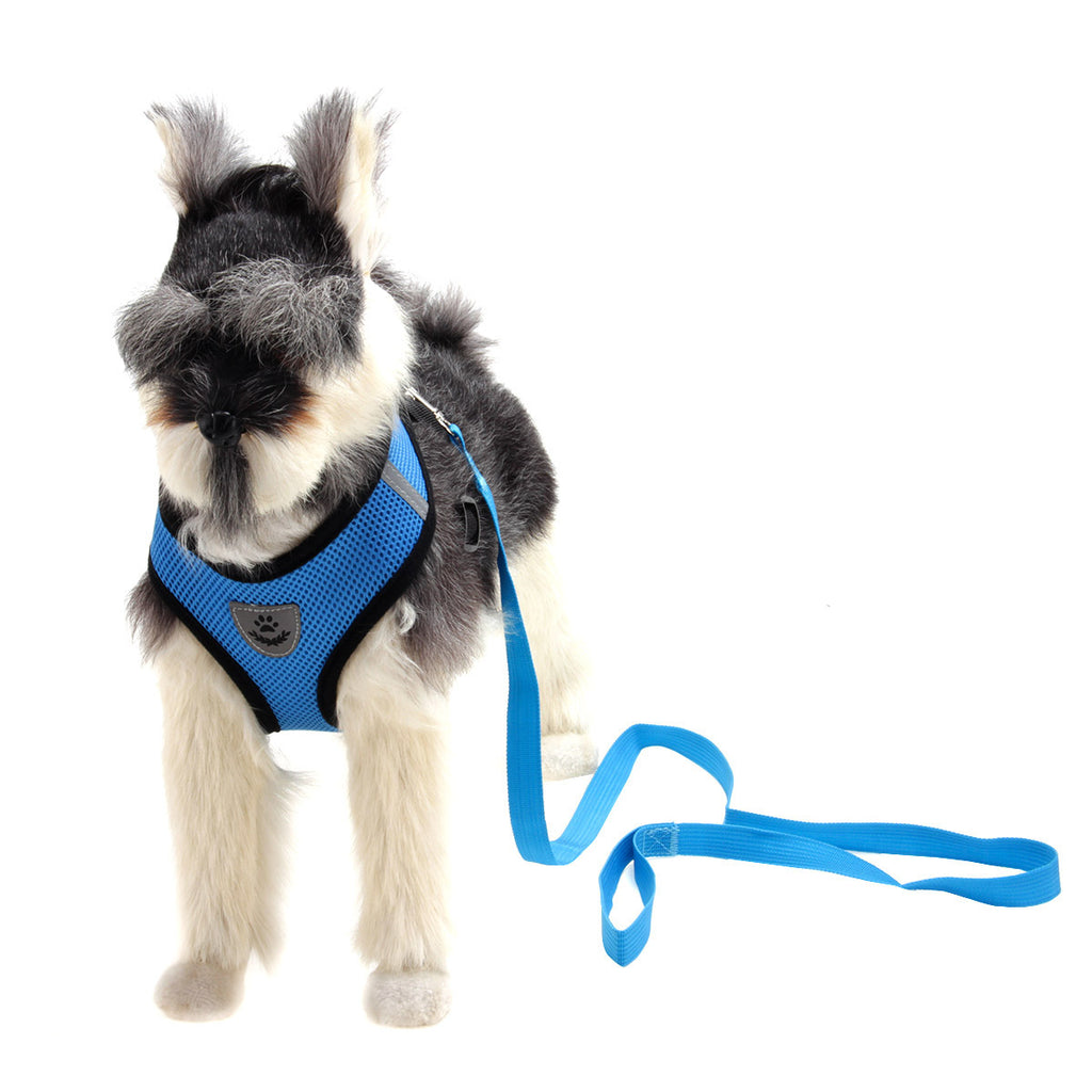 Fashionable High-end Multi-colour Dog Harness