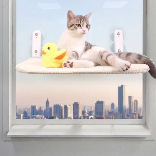 Cat Hammock with Suction Cups