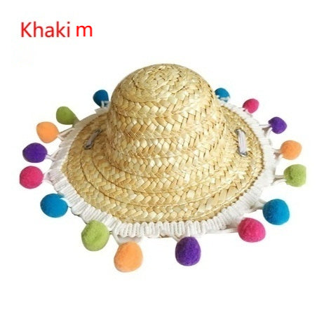 Pet Sunglasses and Pet Hat
