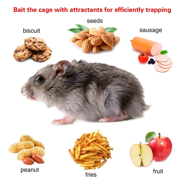 2 Pack Rat Trap Cage Humane Live Rodent Trap Cage Galvanized Iron Mice Mouse Control Bait Catch With Detachable U Shaped Rod