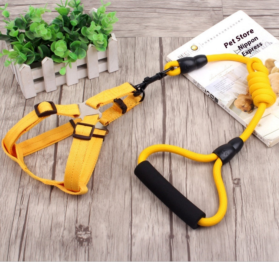 Dog chain, dog collar, pet harness rope