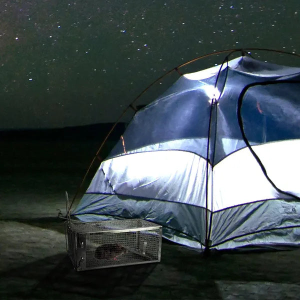 2 Pack Rat Trap Cage Humane Live Rodent Trap Cage Galvanized Iron Mice Mouse Control Bait Catch With Detachable U Shaped Rod