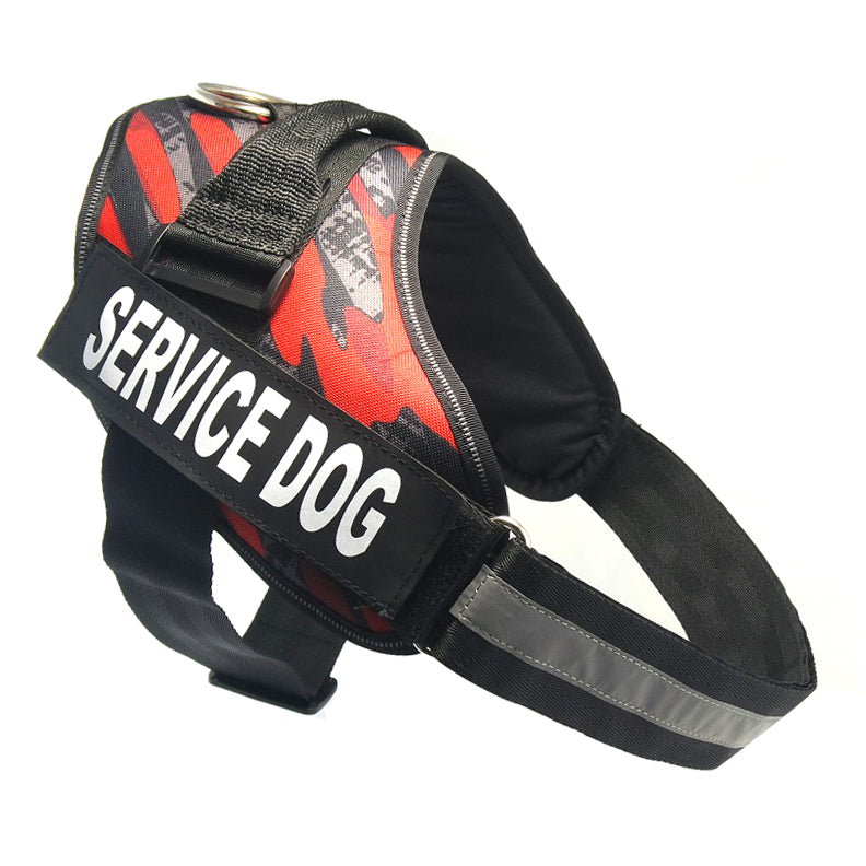 Chest Strap Harness