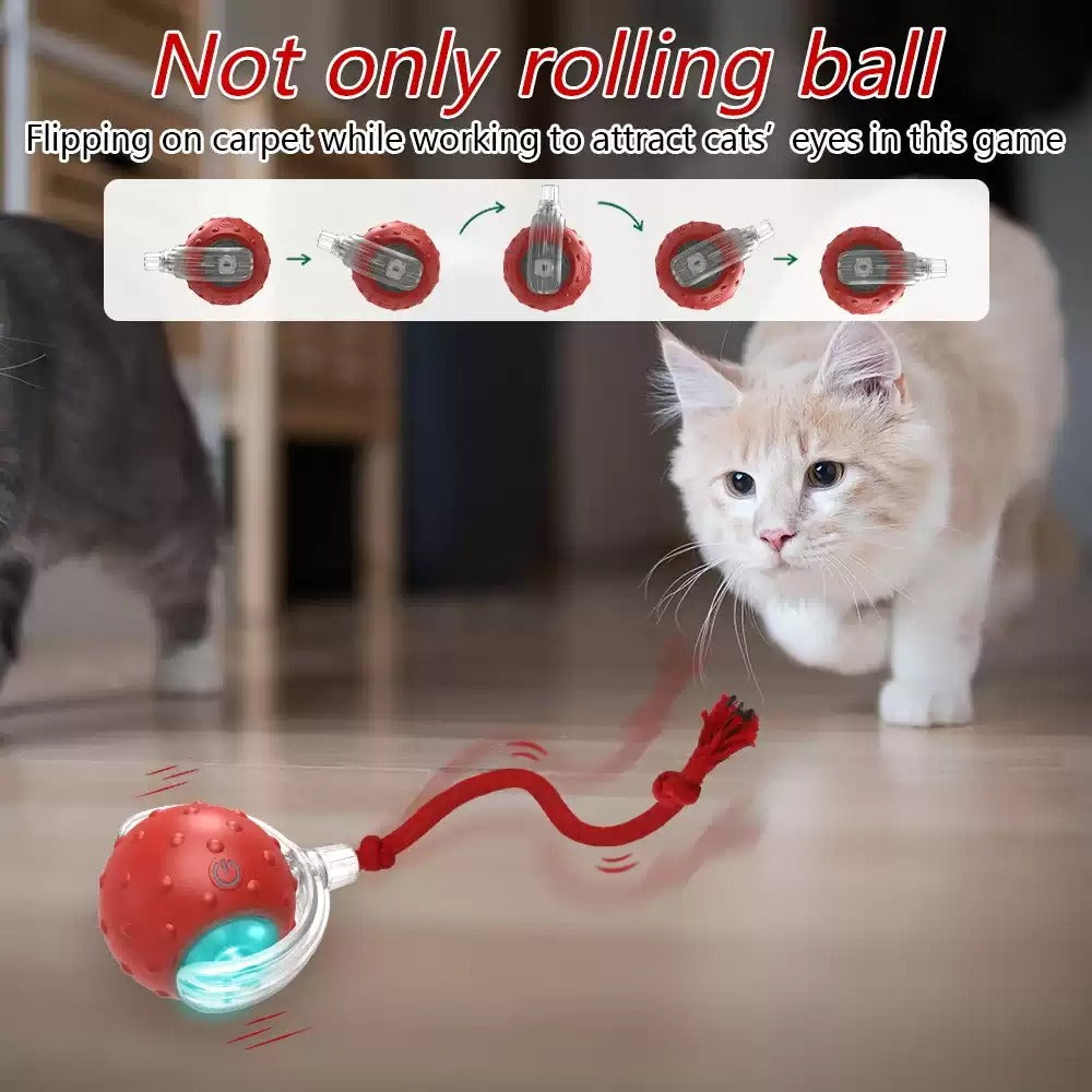 Interactive Cat Rolling Toy Ball