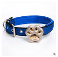 Pet Collar Dog Anti Loss Locator