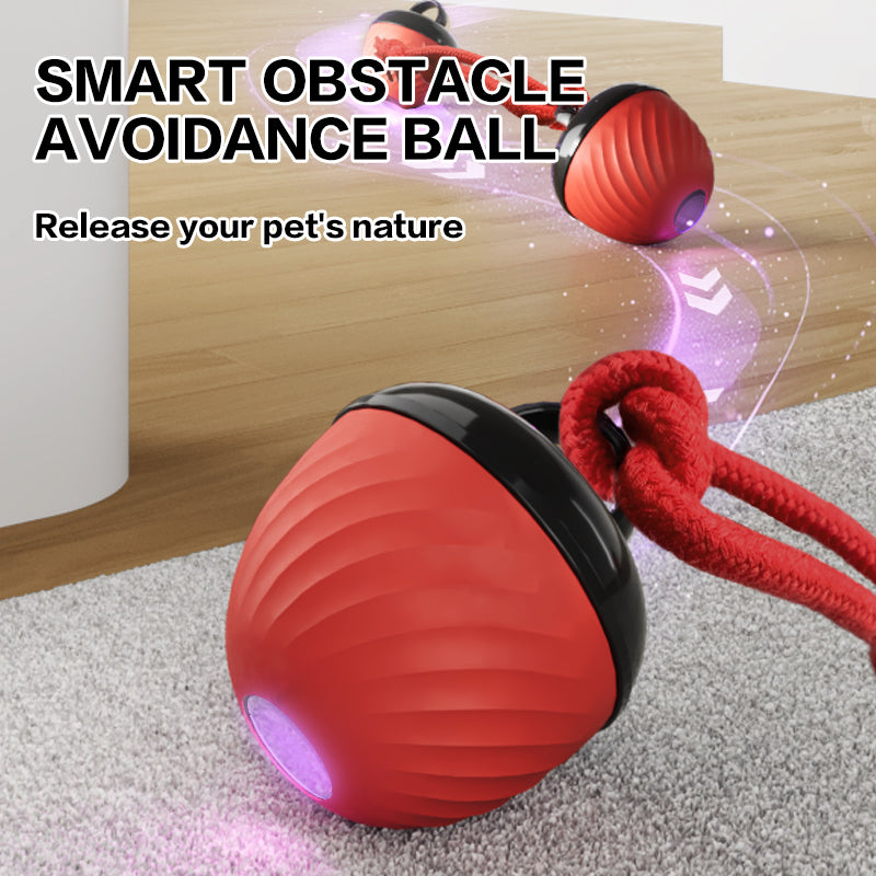 Interactive Moving Ball Pet Toy USB