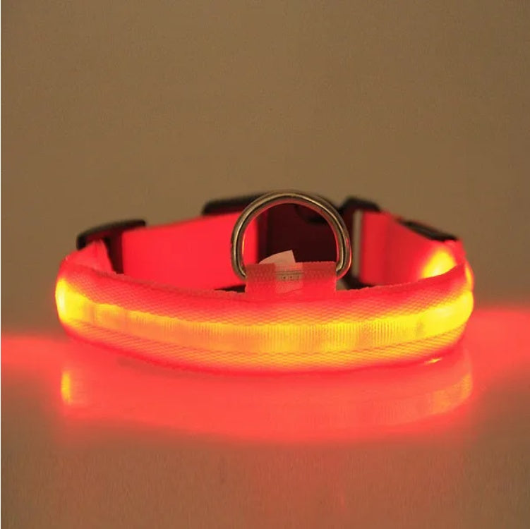 LED Pet Collar Halo Style