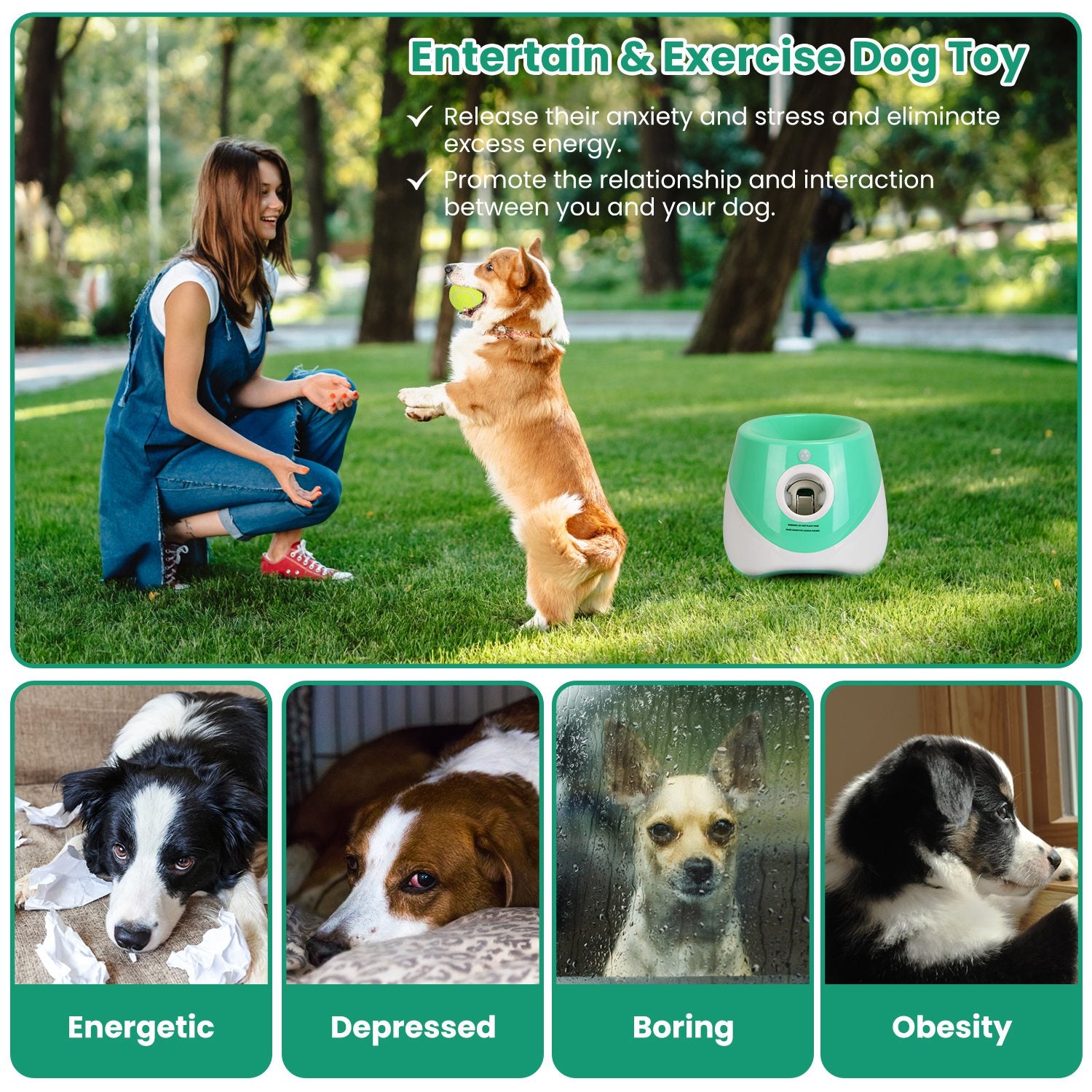 Automatic Dog Ball Launcher with Adjustable Distance (only ships inside USA)