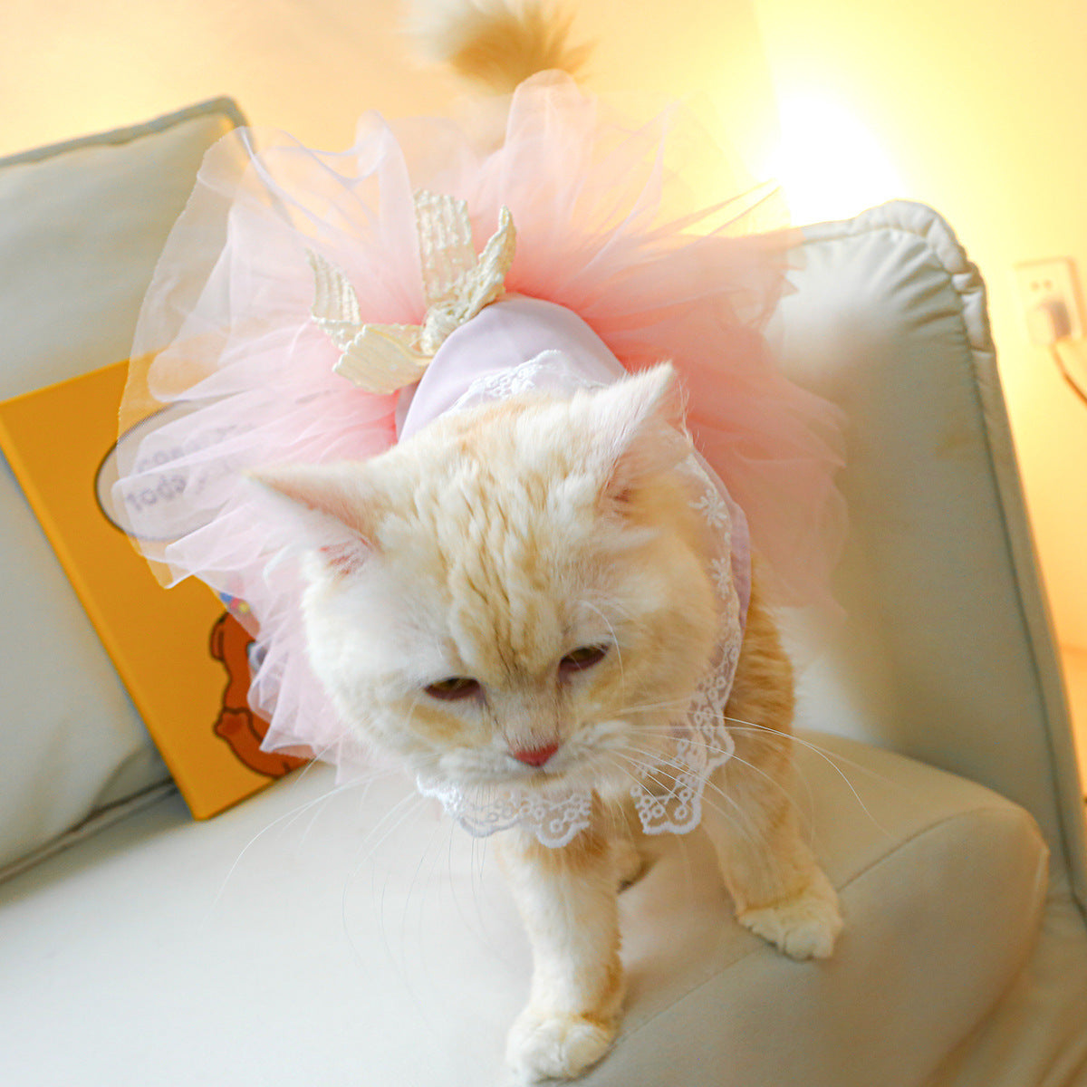 Pet Clothing Cat Clothes Lace Cat Dress