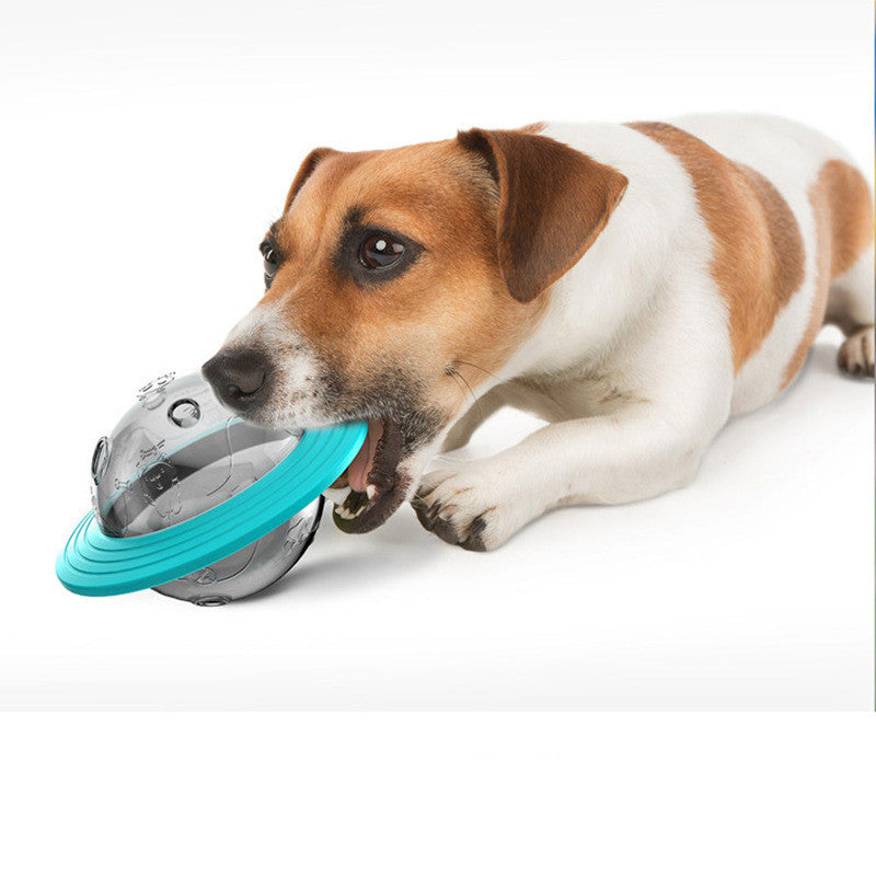 Pet Food Educational toys Pet Slow Feeders