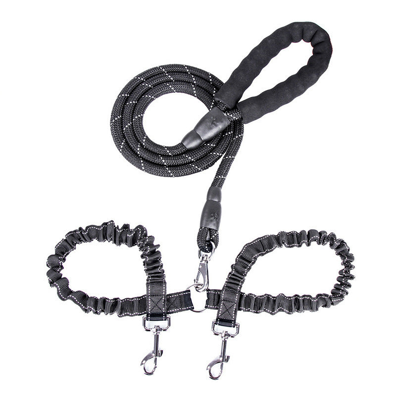 Dogs With One Tow Two Leashes Pets Double Heads