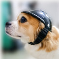 Pet Helmet Dog Motorcycle Helmet