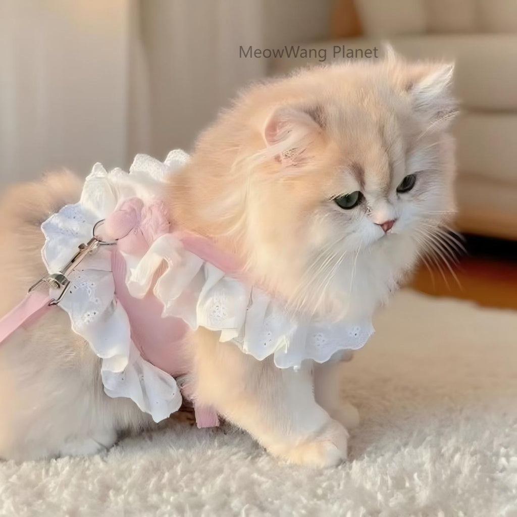 Dog Leash Cat Leash Premium Summer Pet Harness Leash Set Breathable Lightweight And Escape Proof Vest For Cats Small Dogs Adjustable Outdoor Walking Gear With Secure Leash Attachment Luxury Pet Gift F