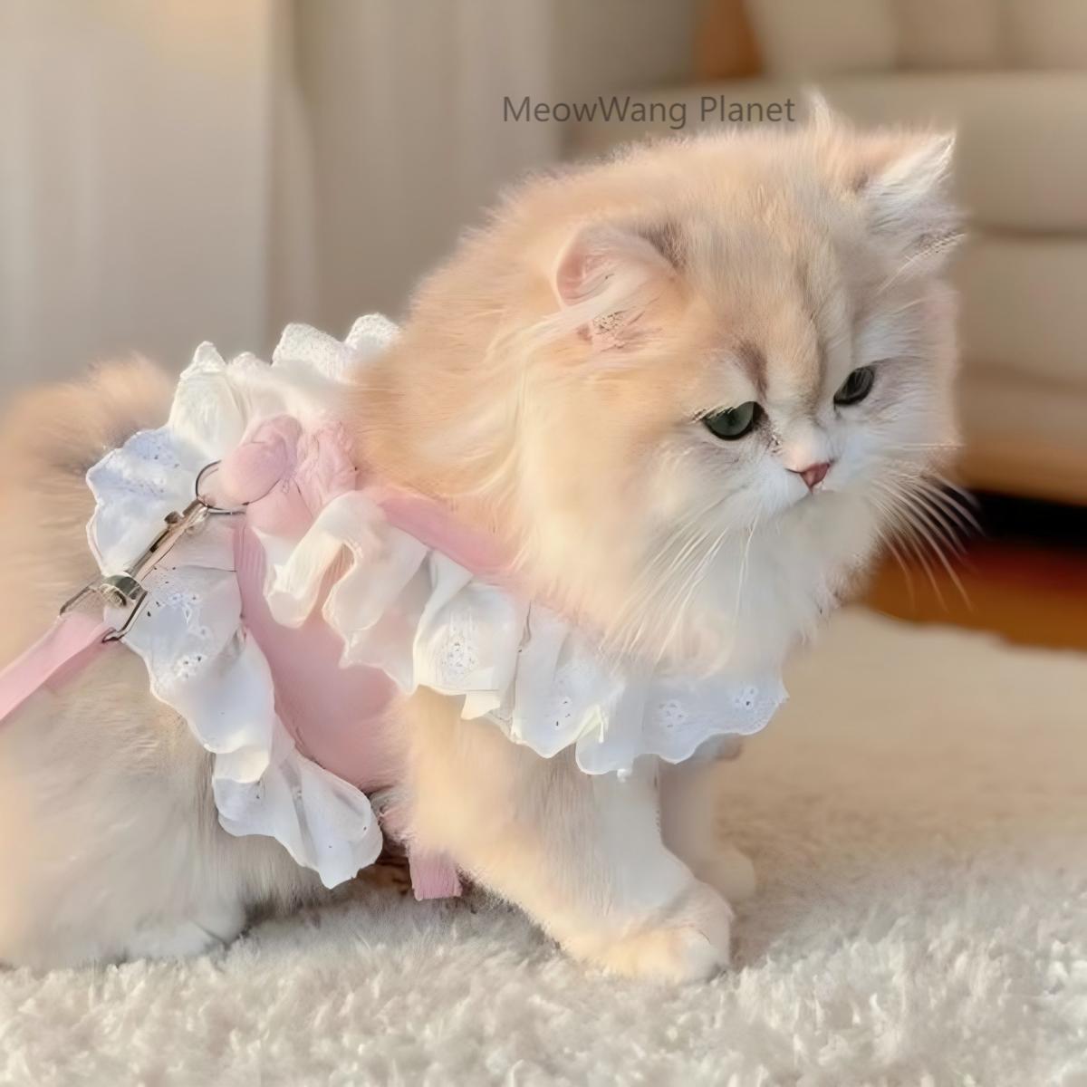 Dog Leash Cat Leash Premium Summer Pet Harness Leash Set Breathable Lightweight And Escape Proof Vest For Cats Small Dogs Adjustable Outdoor Walking Gear With Secure Leash Attachment Luxury Pet Gift F