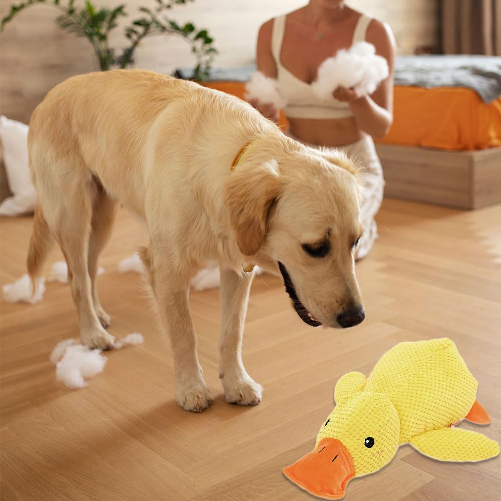 Dog Wrinkle Toy