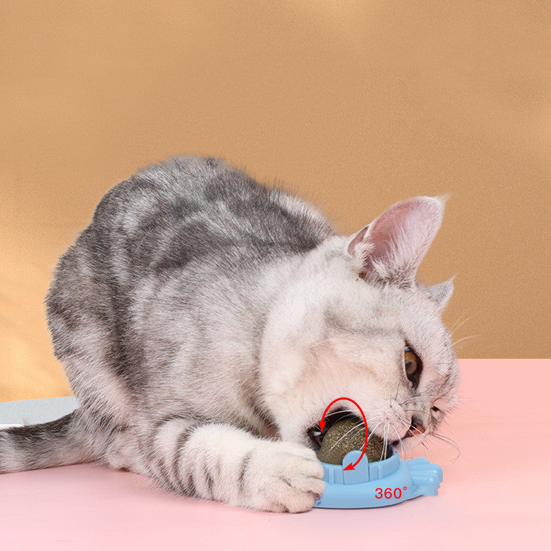 Pet Cat Mint Ball Toy Pet Products