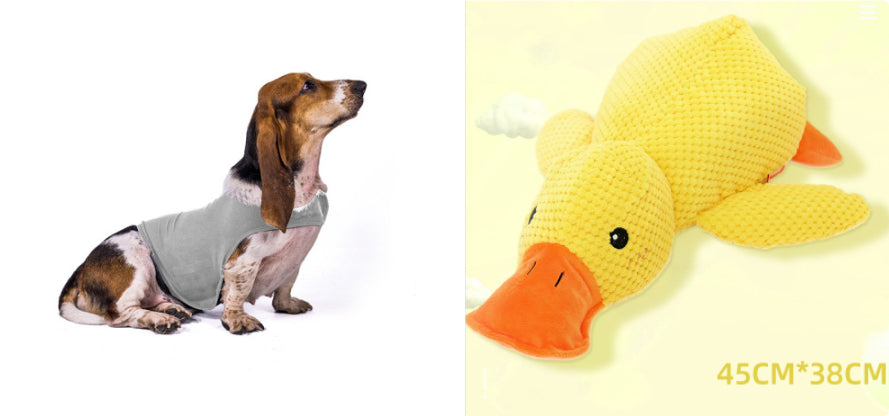 Anxiety Vest Summer Medical Treatment Jacket To Calm Down Dog Comfort Clothes