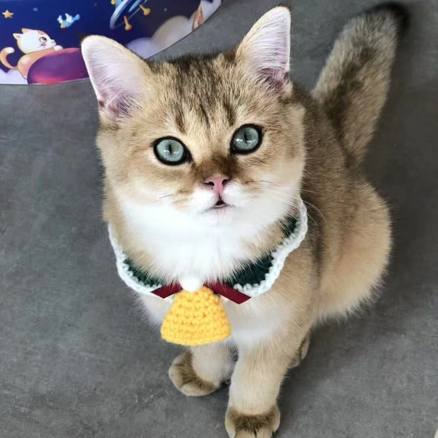 Hand Woven Wool Pet Christmas Collar