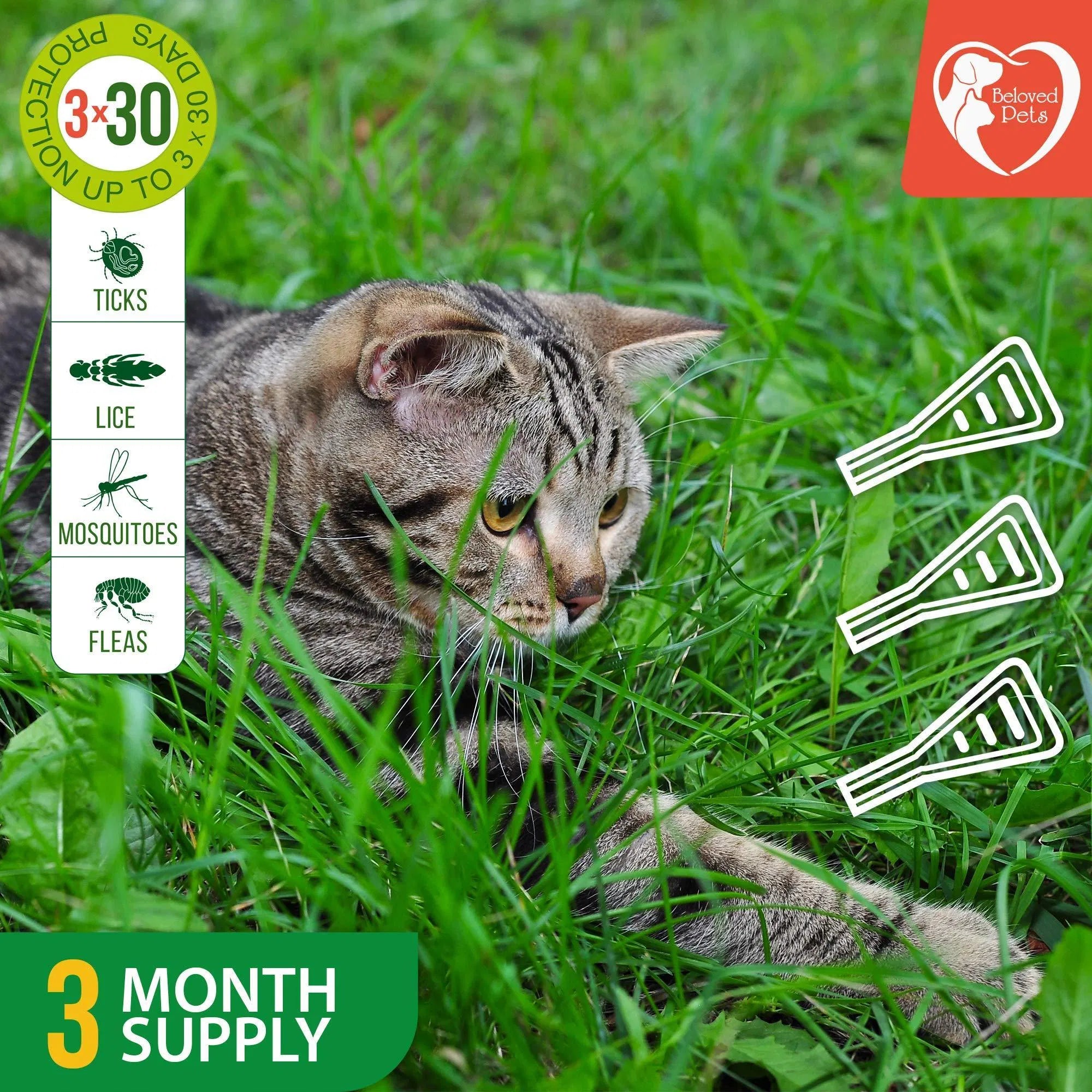 Flea and Tick Prevention for Dogs Cats Rabbits