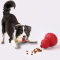 Natural Rubber Chew Toy