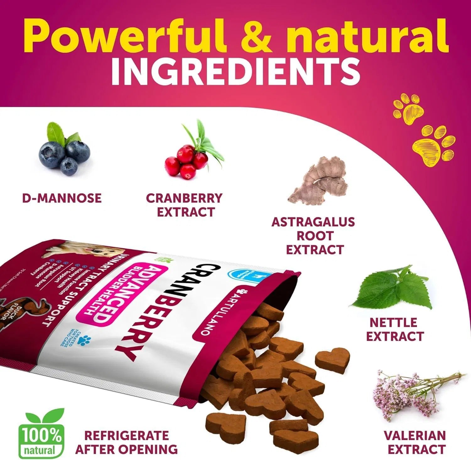 Dog UTI Treatment Cranberry Supplement