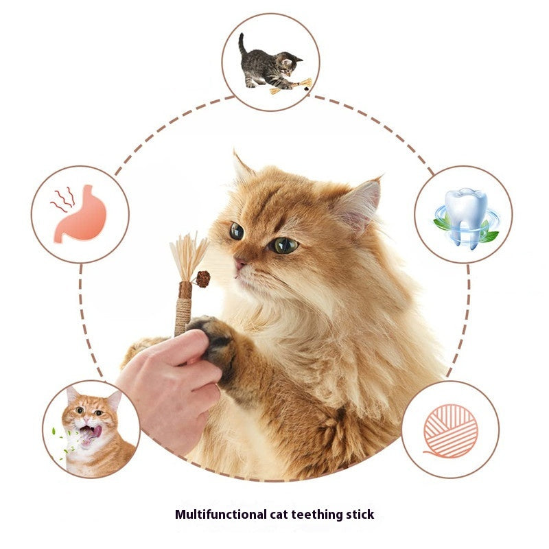 Molar Bite Stick Cat Toy