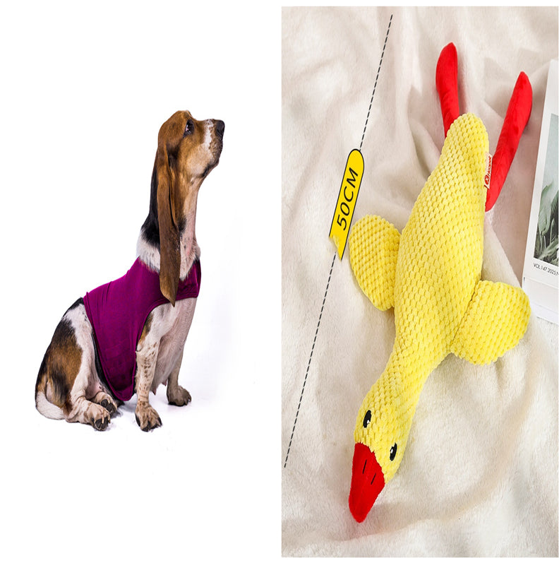 Anxiety Vest Summer Medical Treatment Jacket To Calm Down Dog Comfort Clothes