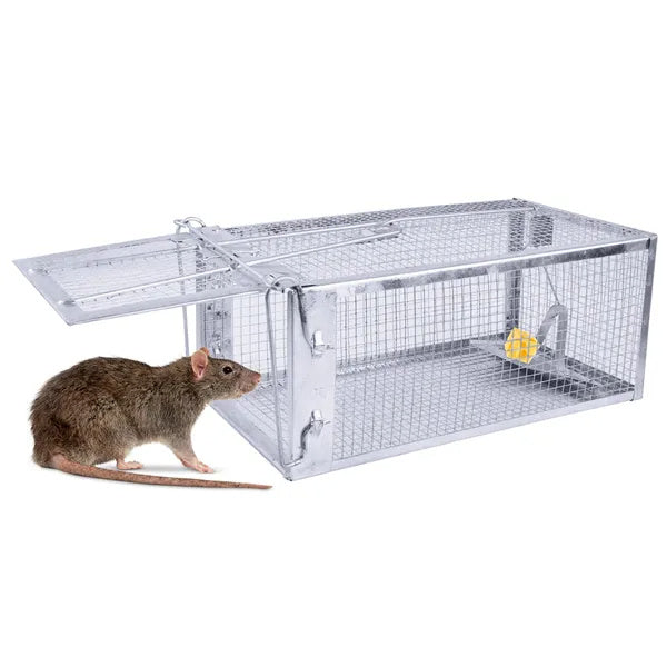 2 Pack Rat Trap Cage Humane Live Rodent Trap Cage Galvanized Iron Mice Mouse Control Bait Catch With Detachable U Shaped Rod