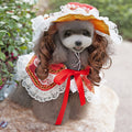 Christmas Pet Clothes Funny Pet Outfit