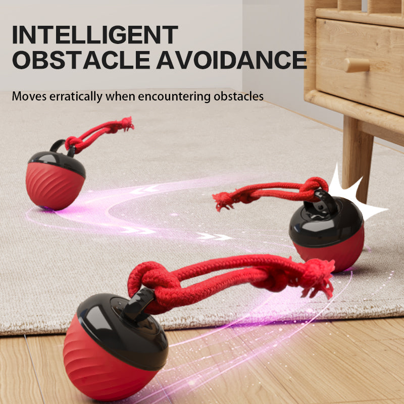 Interactive Moving Ball Pet Toy USB