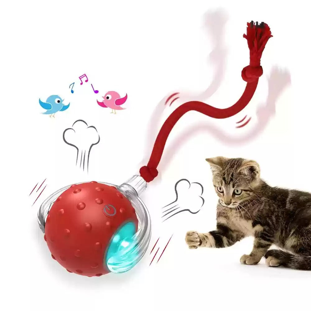 Interactive Cat Rolling Toy Ball