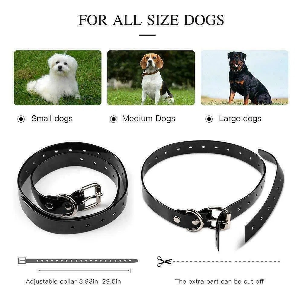 3000 FT Dog Training USB Collar Rechargeable Remote Shock PET Waterproof Trainer