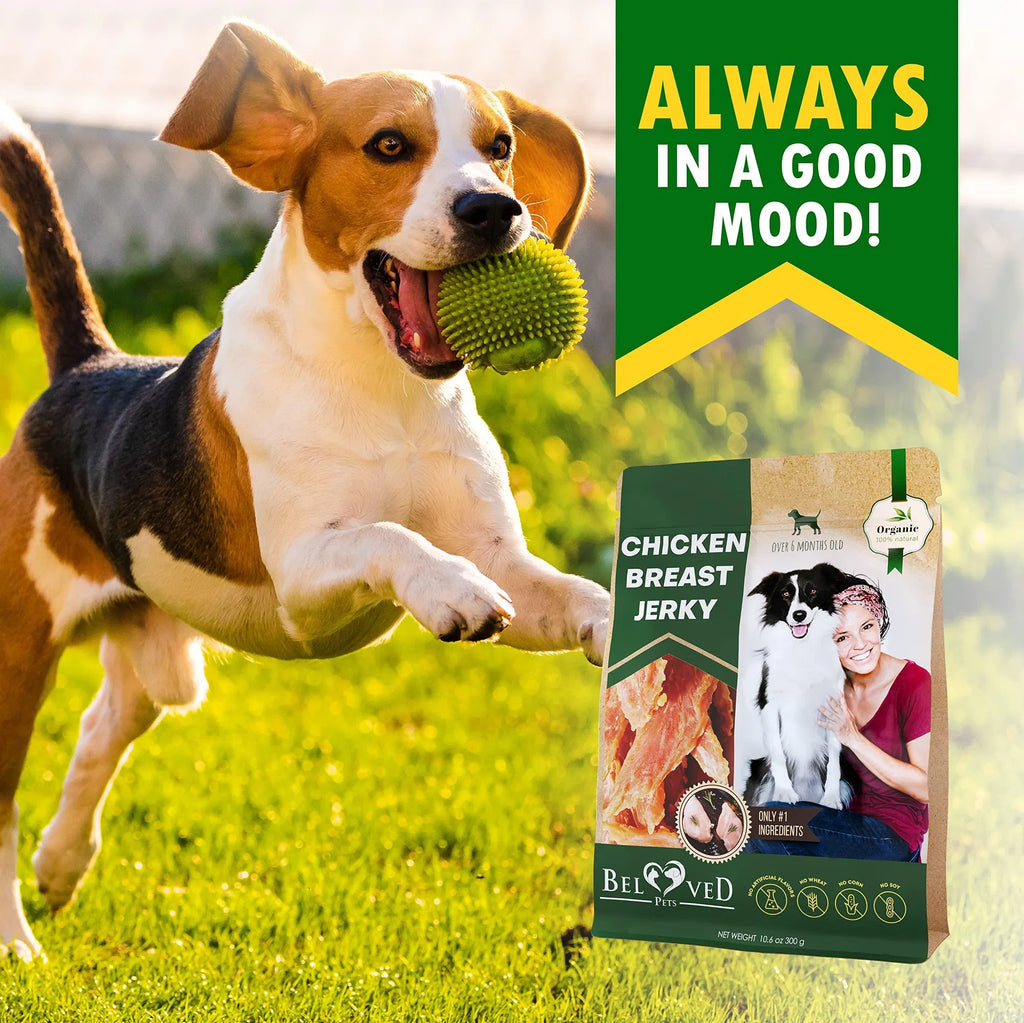 Chicken Jerky Dog Treats All Natural & Organic Healthy Snacks for Dogs, Grain Free & High Protein Human Grade Pet Chews 300g